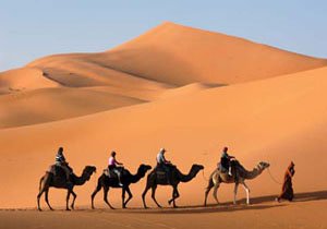 Rajasthan Tour from Delhi By Car & Driver instead of Car with driver